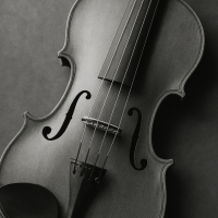 violin